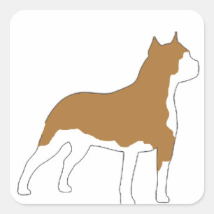 amerikanisches Staffordshire-Terrier Quadratischer Aufkleber