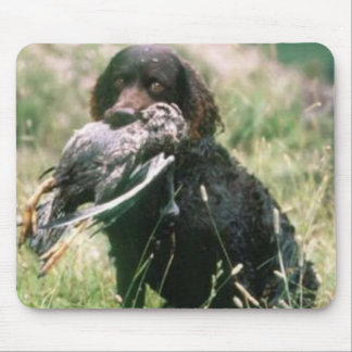 Amerikanisches WasserSpaniel Mousepad