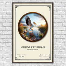 Amerikanisches Weißstorch-Pelikan-Zoologie-Poster
