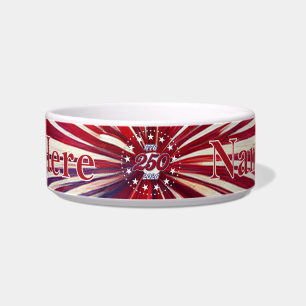 Amerikas 250. Geburtstag 1776-2026 RWB Feuerwerk Napf