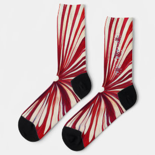 Amerikas 250. Geburtstag 1776-2026 RWB Feuerwerk Socken