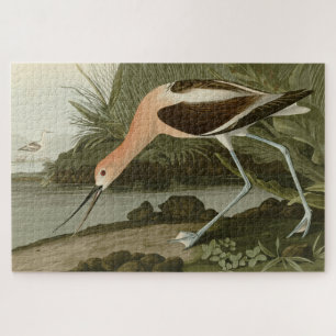 Amerikas Avocet von Audubons Vögeln Amerikas Puzzle