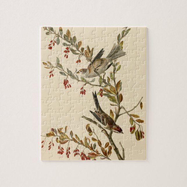 Amerikas Baumsparrow, Audubons Vögel Amerikas Puzzle (Vertikal)