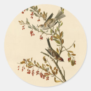Amerikas Baumsparrow, Audubons Vögel Amerikas Runder Aufkleber