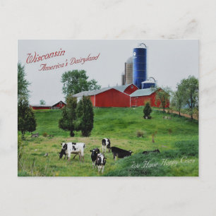 Amerikas Dairyland Postkarte