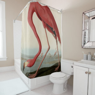 Amerikas Flamingo von Audubons Vögeln Amerikas Duschvorhang