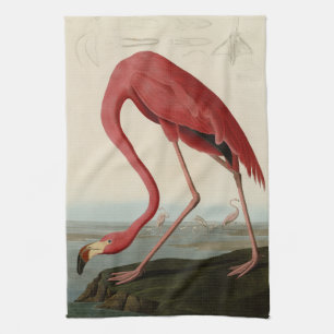 Amerikas Flamingo von Audubons Vögeln Amerikas Geschirrtuch