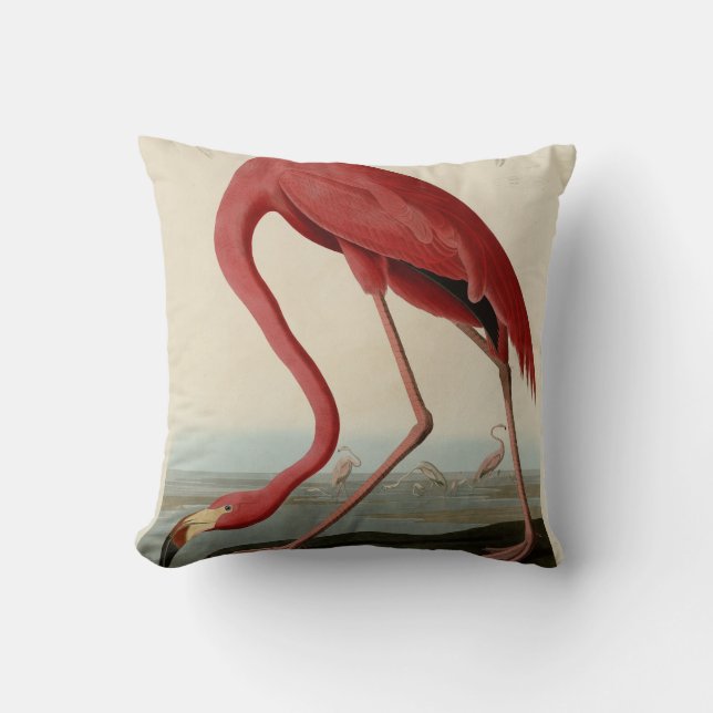 Amerikas Flamingo von Audubons Vögeln Amerikas Kissen (Vorderseite)