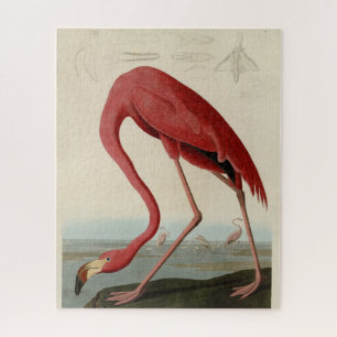 Amerikas Flamingo von Audubons Vögeln Amerikas Puzzle