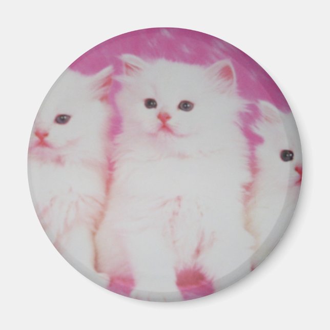 Amerikas nächste Top-Modelle Magnet (Vorne)