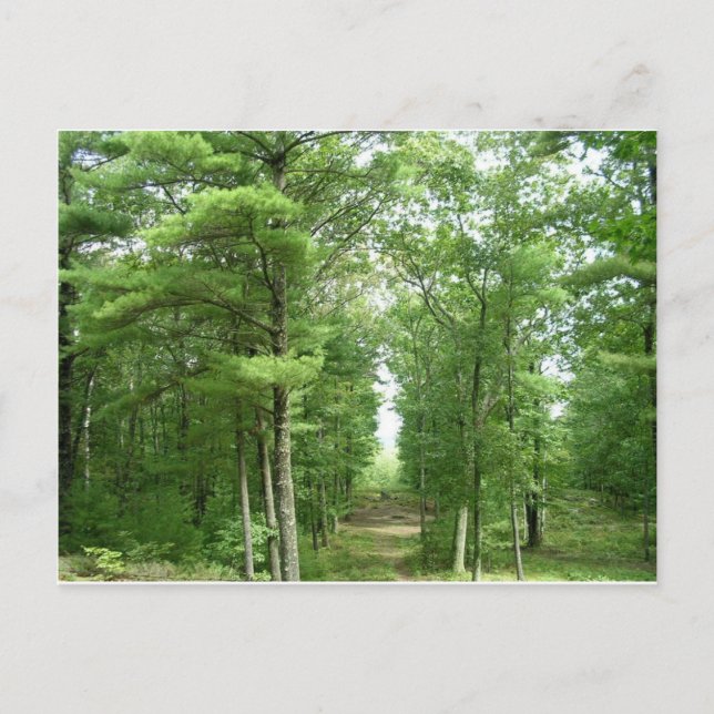 Amerikas Stonehenge, Salem, VT Postkarte (Vorderseite)