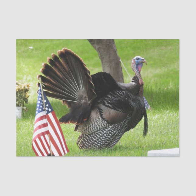 Amerikas Vogel Wild Tom Türkei Seidenpapier (Vorderseite)