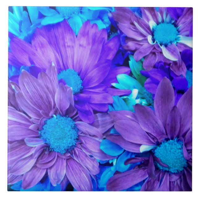 Amethyst Lila und Türkis Blue Daisies Fliese (Vorderseite)