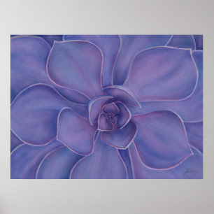 Amethyst-Sukkulenten-Druck Lila Botanische Kunst Poster