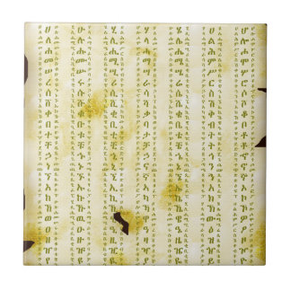 Amharischer Fidel auf altem Pergament Fliese