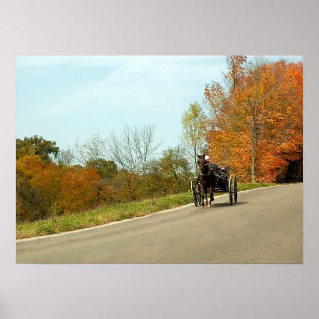 Amich Buggy Print Poster (Vorne)