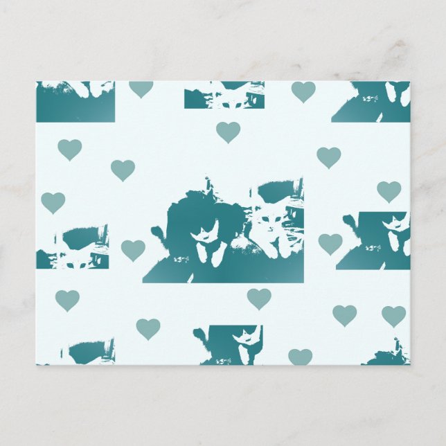 Amigos Felinos. Postkarte (Vorderseite)