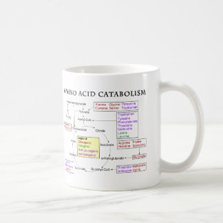 Aminosäure-Katabolismus-Diagramm Tasse