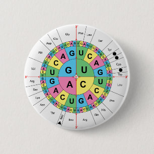 Aminosäure-niedrige Reihenfolgen-Tabellen-Diagram Button