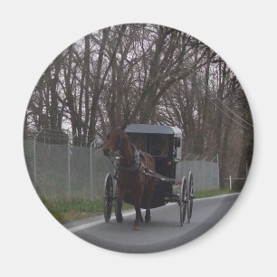 Amische Buggy Magnet
