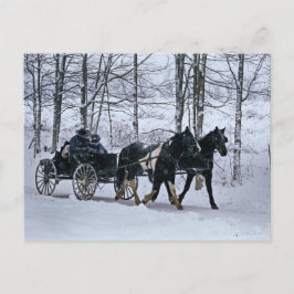 Amische Land-Winter-Wagen Fahrt-Postkarte Postkarte