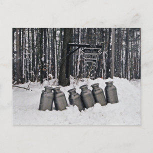 Amische Milch Dose-Postkarte Postkarte