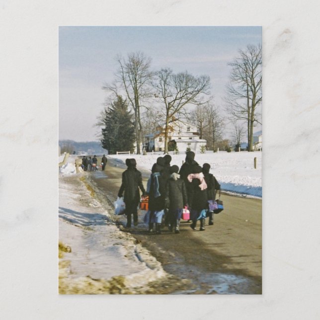 Amische Schultag-Postkarte Postkarte (Vorderseite)