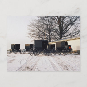 Amische Wagen auf Bauernhof-Postkarte Postkarte