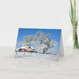 Amischer Bauernhof-Eis-Baum Feiertagskarte