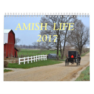 AMISCHES LEBEN 2017 KALENDER