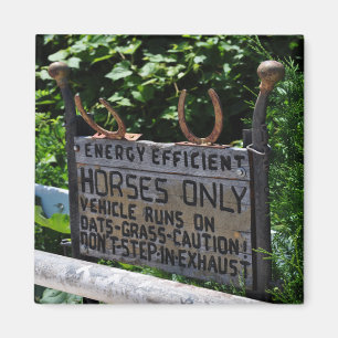 Amisches Parkzeichen Magnet