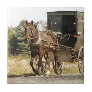 Amisches Pferd und Buggy Fliese