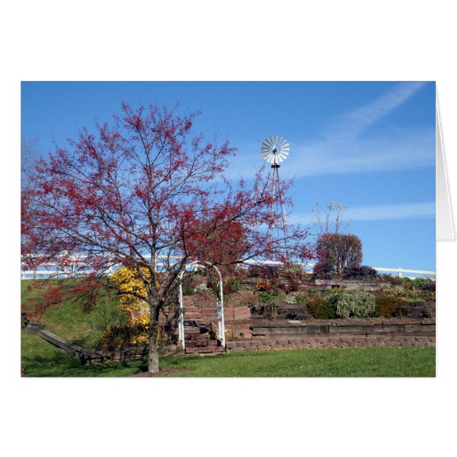 Amish Autumn Garden (Vorderseite (Horizontal))