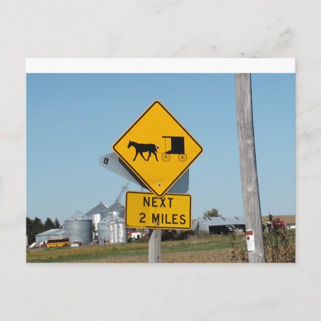 Amish Buggie Crossing Sign Post Card Postkarte (Vorderseite)
