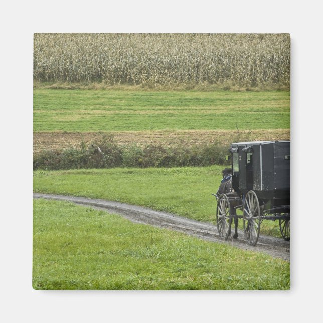 Amish-Buggy auf dem Landweg, Nordost-Ohio, Magnet (Vorne)