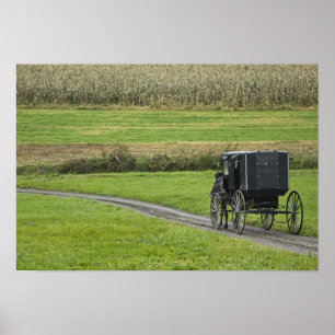Amish-Buggy auf dem Landweg, Nordost-Ohio, Poster
