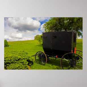 Amish-Buggy auf der Hillside Farm Poster