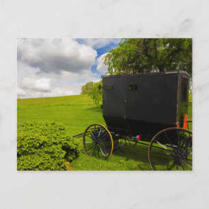 Amish-Buggy auf der Hillside Farm Postkarte