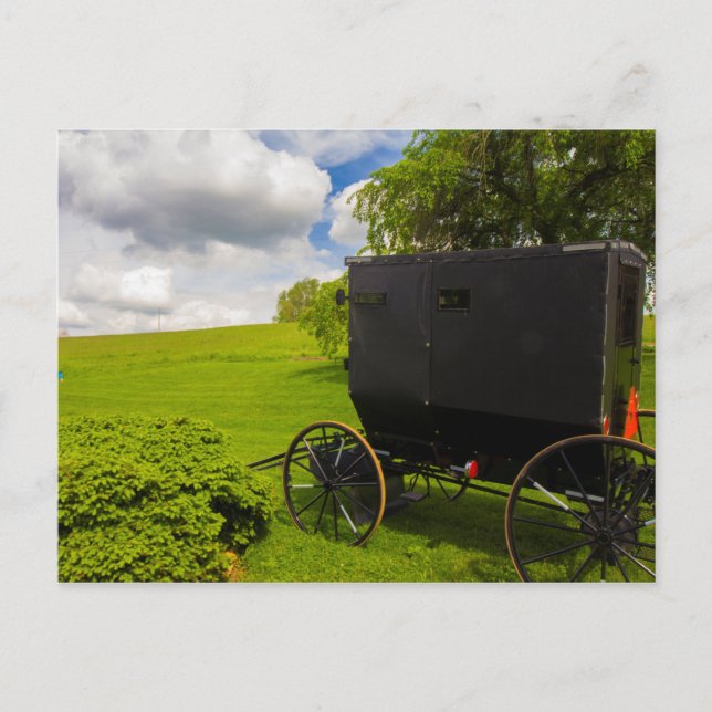 Amish-Buggy auf der Hillside Farm Postkarte (Vorderseite)