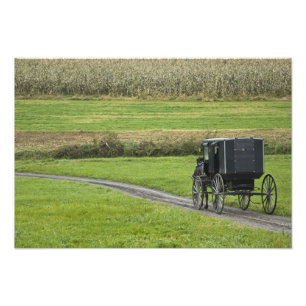 Amish-Buggy auf einer Farmstraße, Nordost-Ohio, Fotodruck