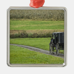 Amish-Buggy auf einer Farmstraße, Nordost-Ohio, Ornament Aus Metall