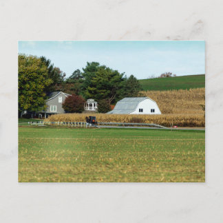 Amish Buggy, Holmes County, Ohio Postkarte