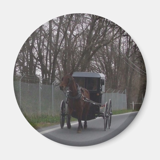 Amish Buggy Magnet (Vorne)