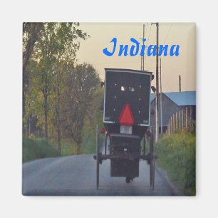 Amish Buggy Magnet
