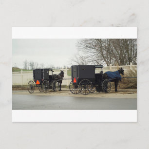 Amish Buggy "Parkplatz Lot" Postkarte