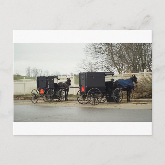 Amish Buggy "Parkplatz Lot" Postkarte (Vorderseite)