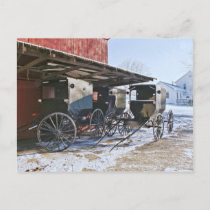 Amish Buggy Port Postkarte
