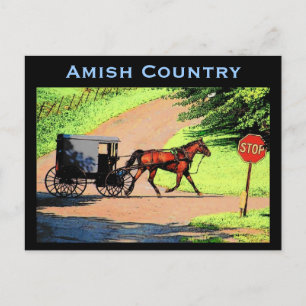 Amish Buggy Postcard Postkarte