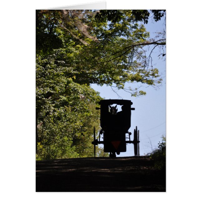 Amish Buggy - Silhouette am Tag (Vorne)