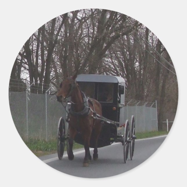 Amish Buggy Sticker (Vorderseite)